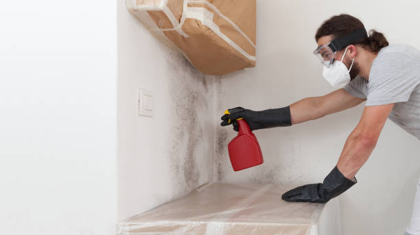 Professional Bathroom Mold Removal technician working in Hermitage, PA
