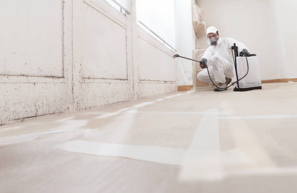 24/7 Emergency Bathroom Mold Removal experts in Hermitage, PA